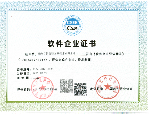 双软企业